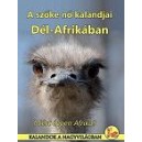 A SZŐKE NŐ KALANDJAI DÉL-AFRIKÁBAN  -  Miért éppen Afrika?  írta: Gyurácz Andrea