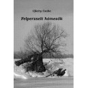 Ujkéry Csaba: FELPERZSELT  HÓMEZŐK