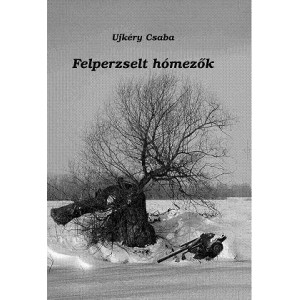 Ujkéry Csaba: FELPERZSELT  HÓMEZŐK